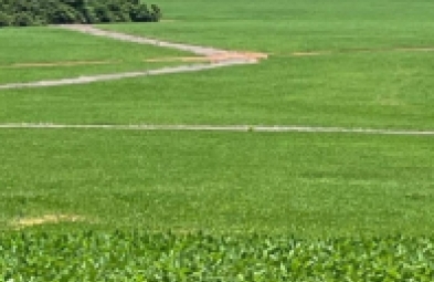 Fazenda para venda em Curralinhos